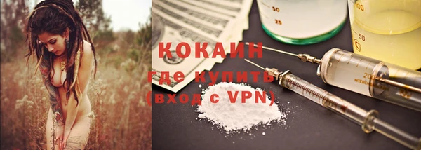 мдпв Новозыбков