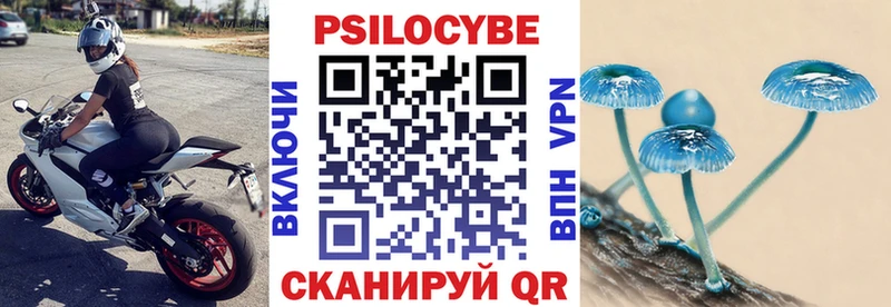 Псилоцибиновые грибы Psilocybine cubensis купить наркоту Курск