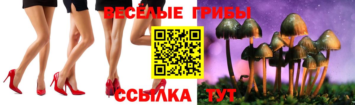 Курск  Галлюциногенные грибы прущие грибы  Вход с VPN 